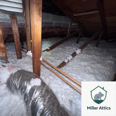Avatar for Miller attics