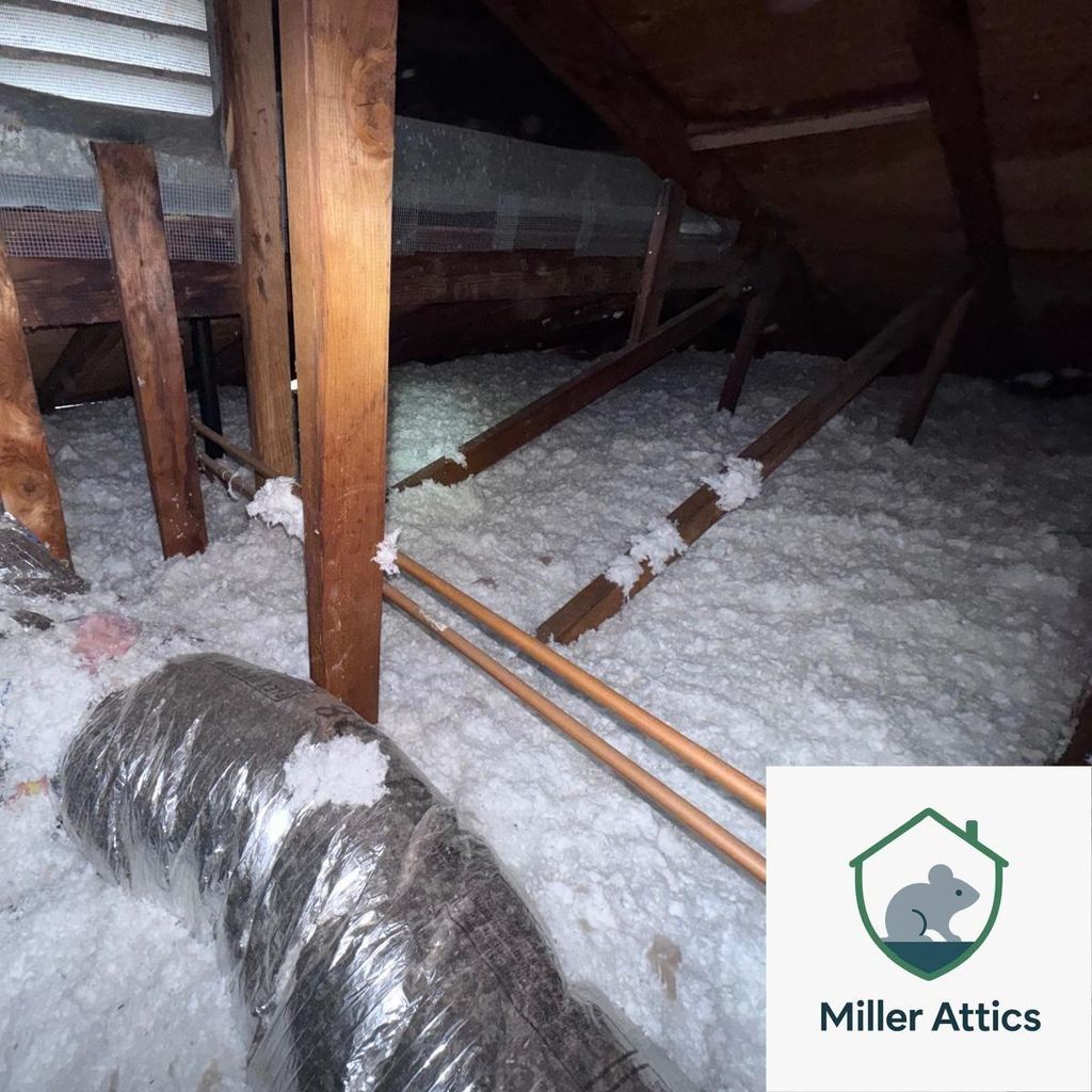 Miller attics