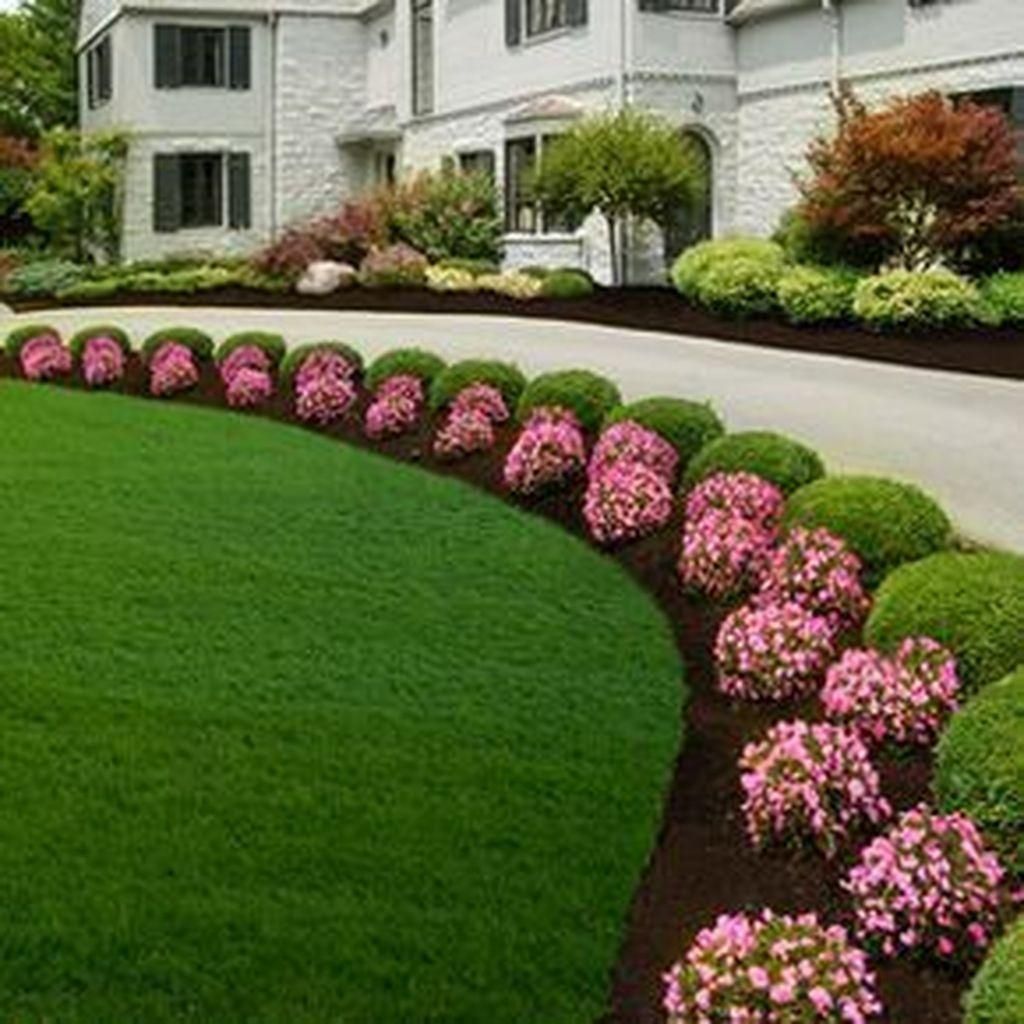 DG CONTRACTOR LLC