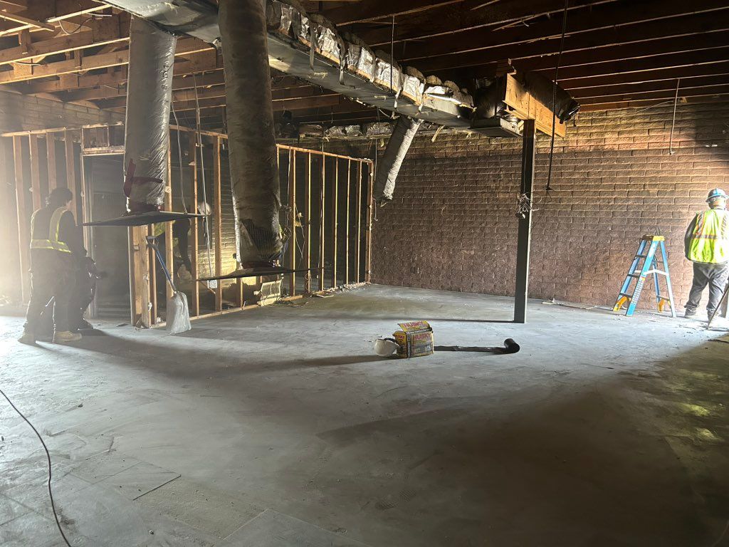Projects and media