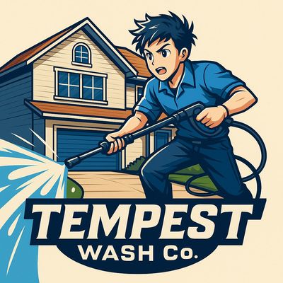 Avatar for Tempest Wash Co