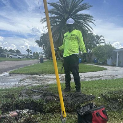 Avatar for LDM Landscape & Sprinklers