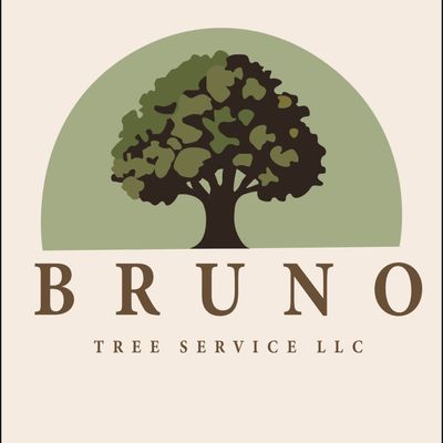 Avatar for Bruno Tree Service