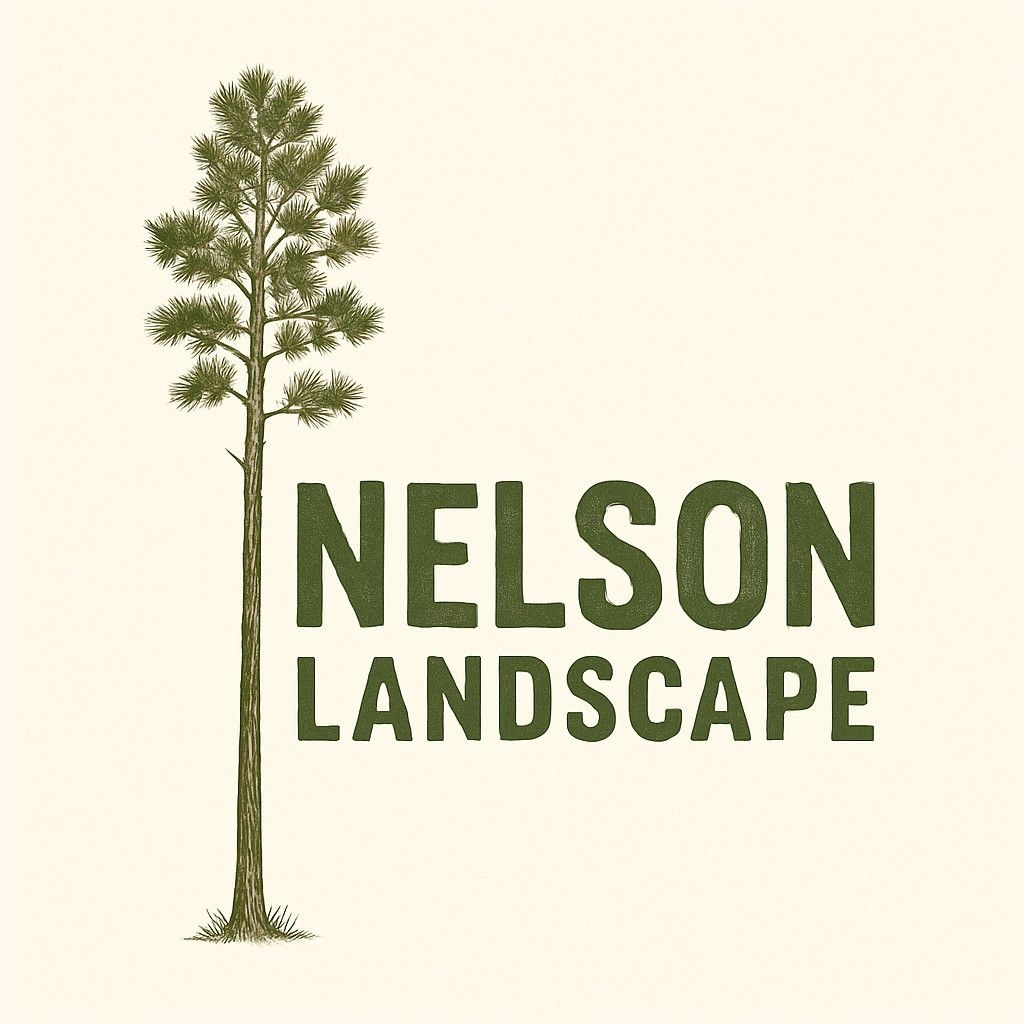 Nelson Landscape