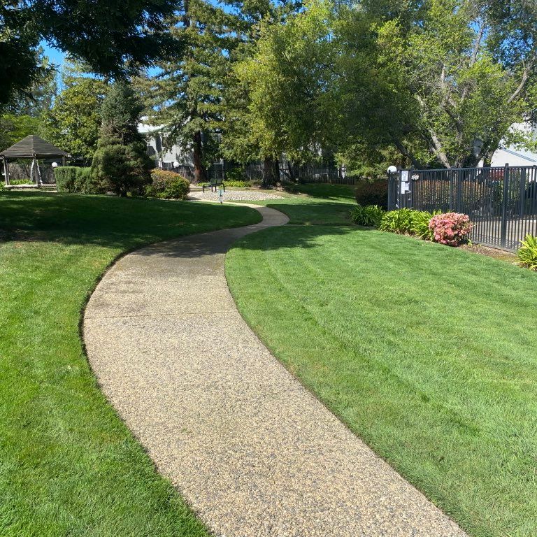 Always Green Lawn & Tree Service