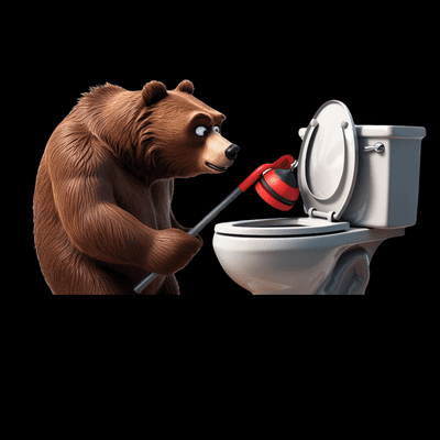 Avatar for Little Bear Drains