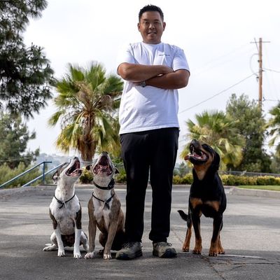 Avatar for Nick’s K9 Services