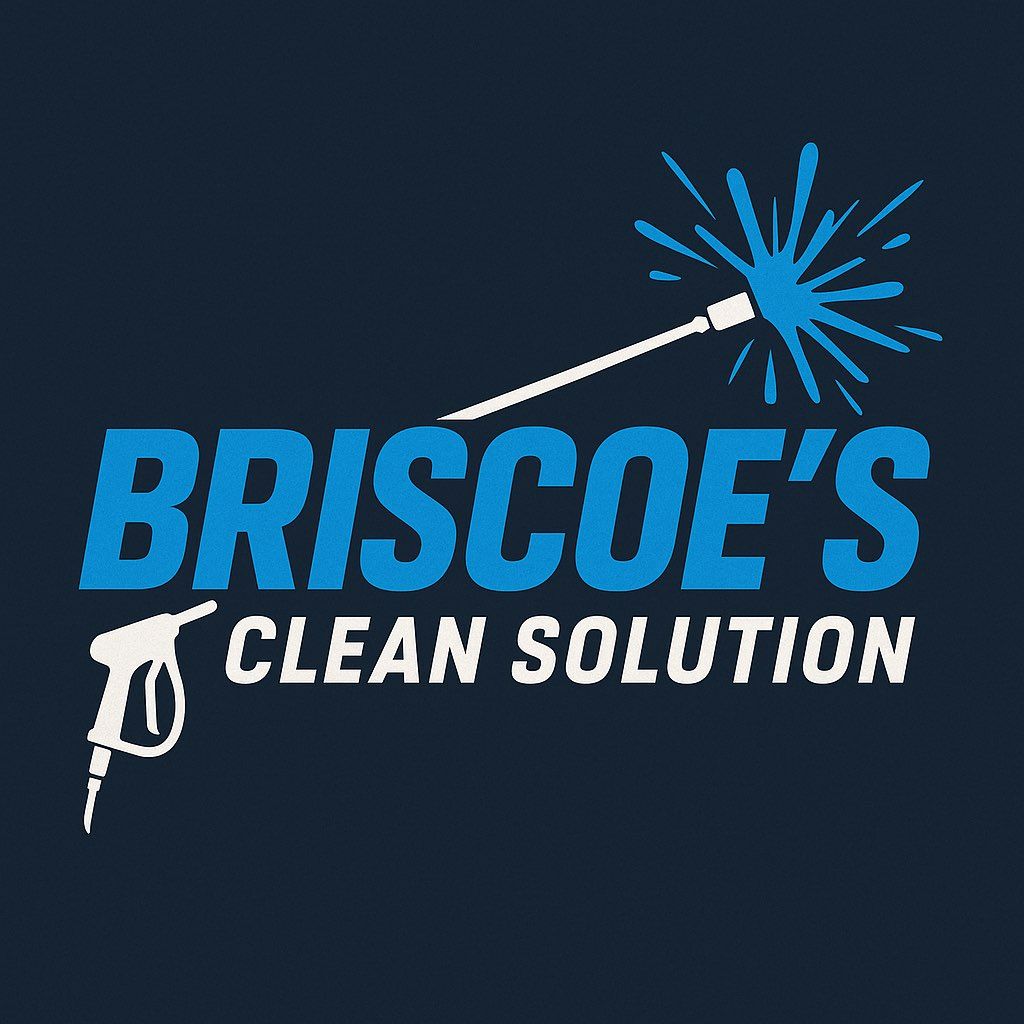 Briscoe Clean solution
