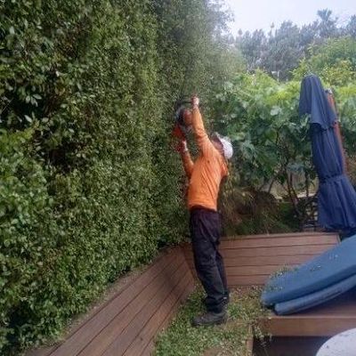 Avatar for Santos Landscaping