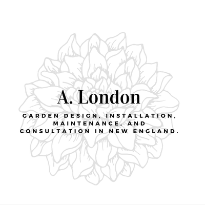 Avatar for A. London Design