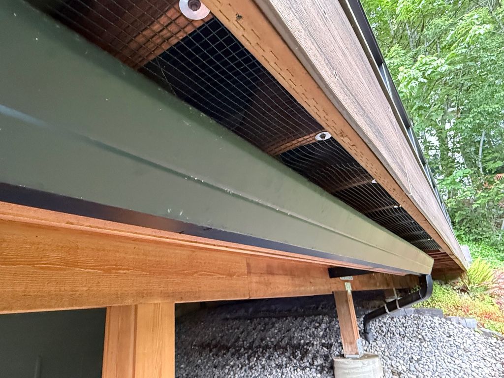 Rodent Entry Prevention-Exclusion