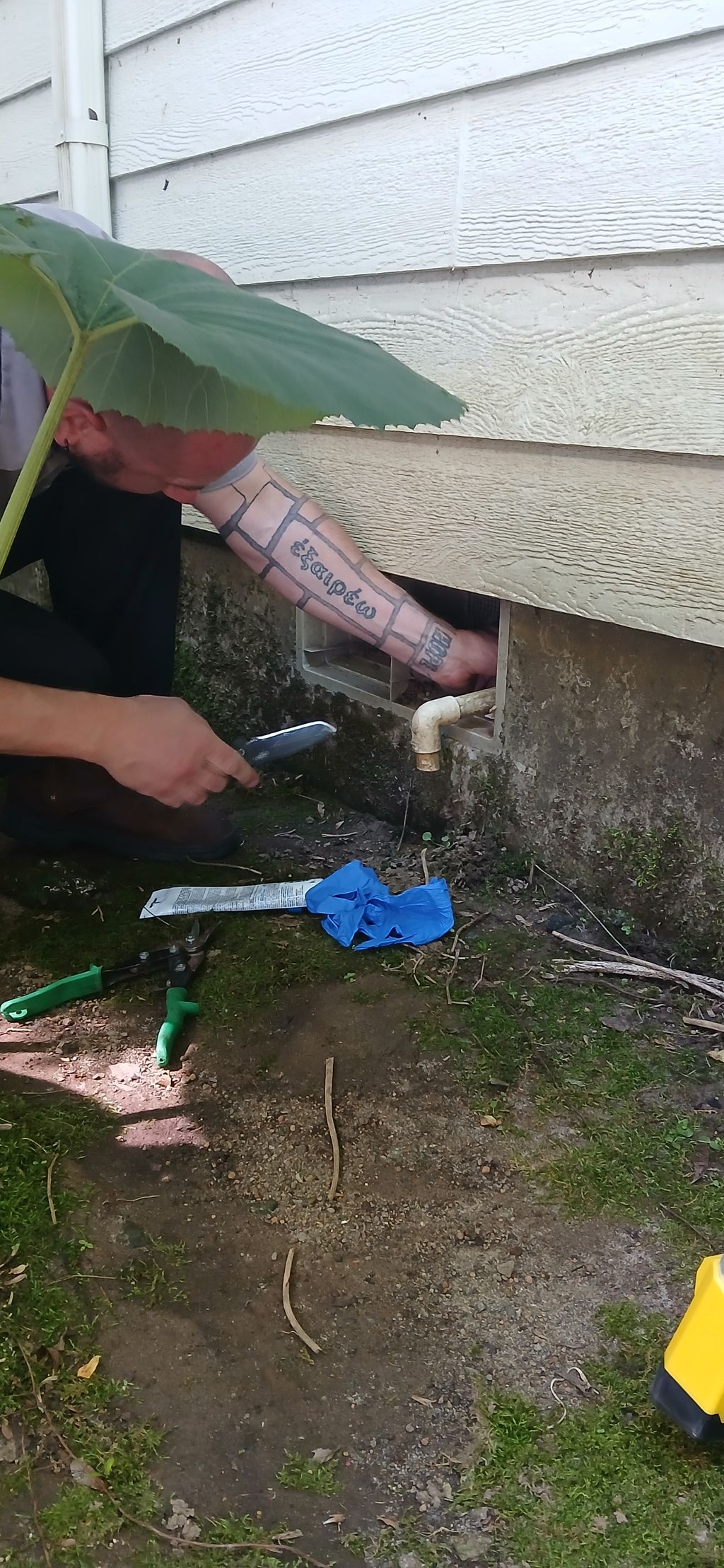 Sealing Rodent Entry Points