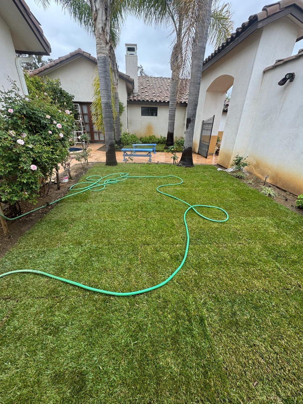 Projects and media