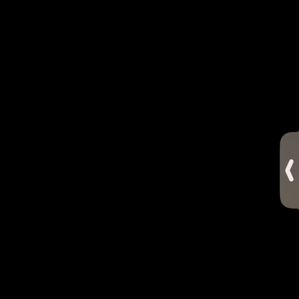 R services LLC