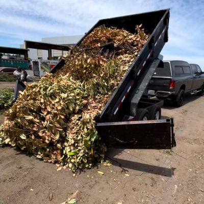 Avatar for Junk Removal
