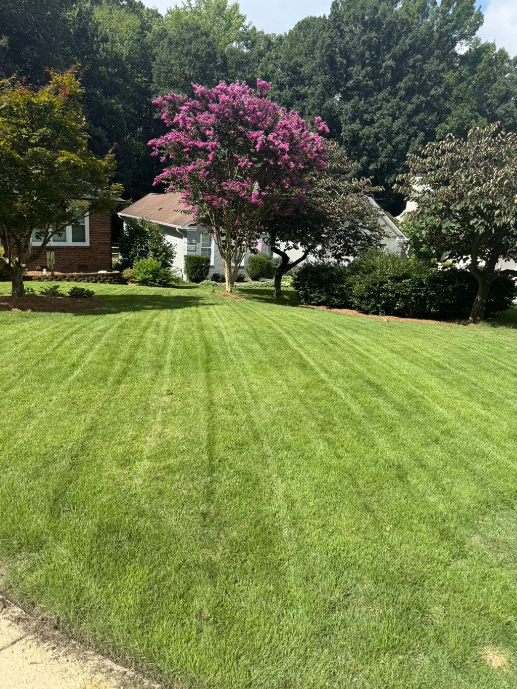 Lawn maintenance 