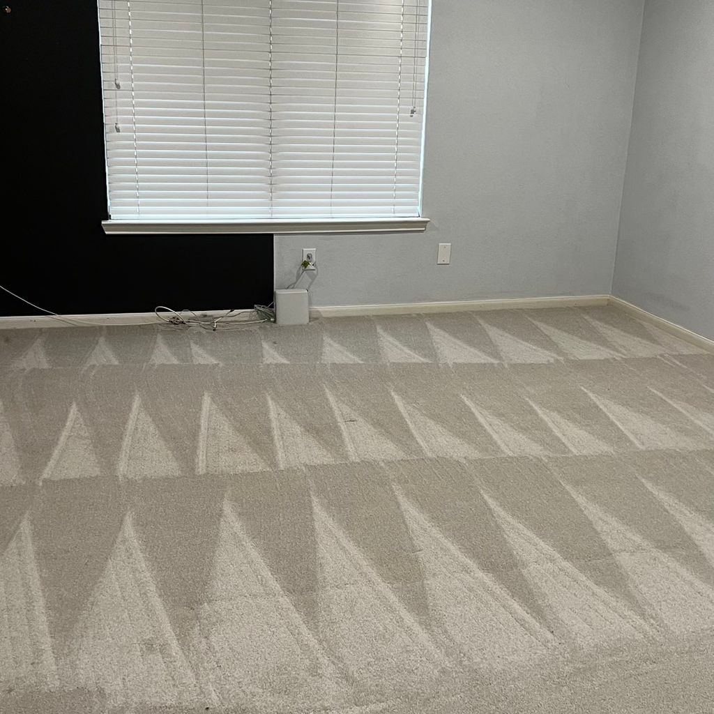 Mendoza Cleaning pros