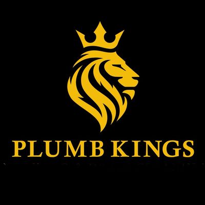 Avatar for Plumb kings plumbing and drain specialist