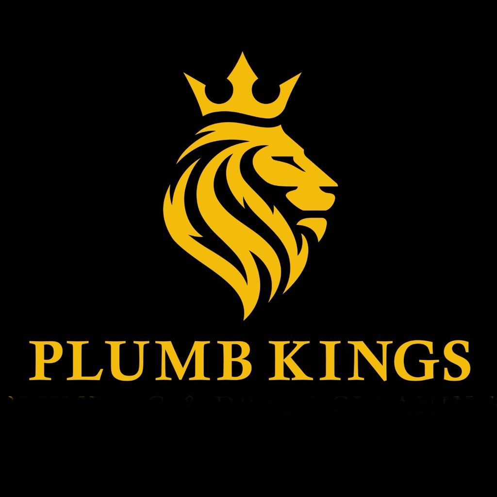 Plumb kings plumbing and drain specialist