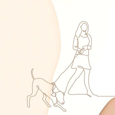 Avatar for millys dog walking