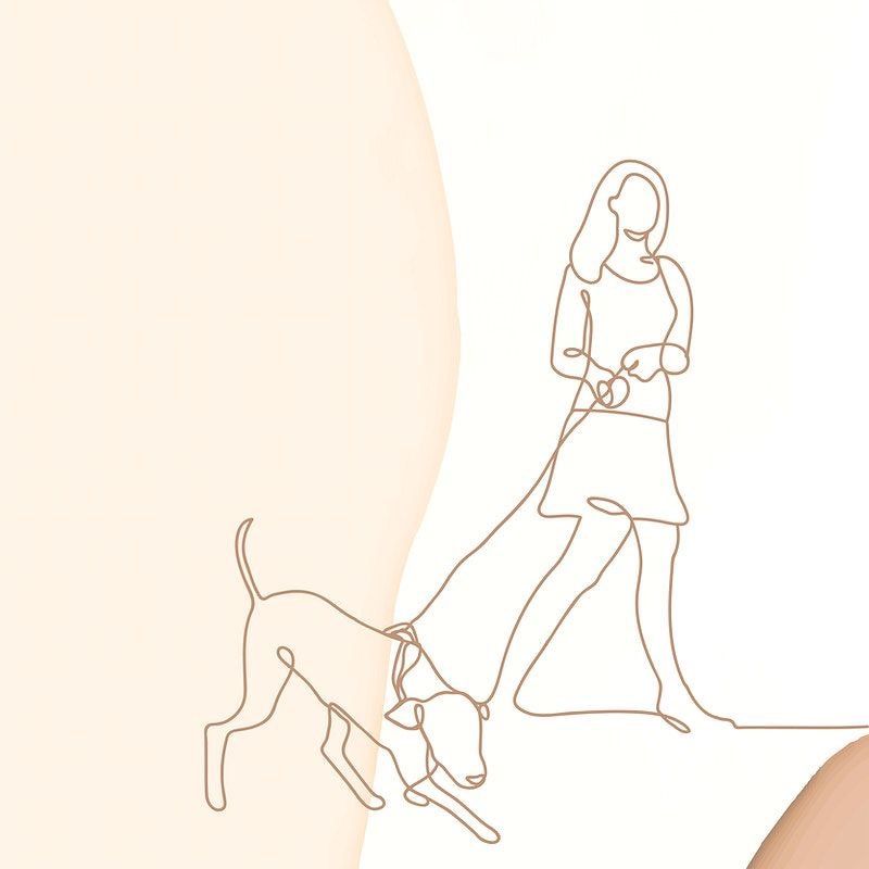 millys dog walking