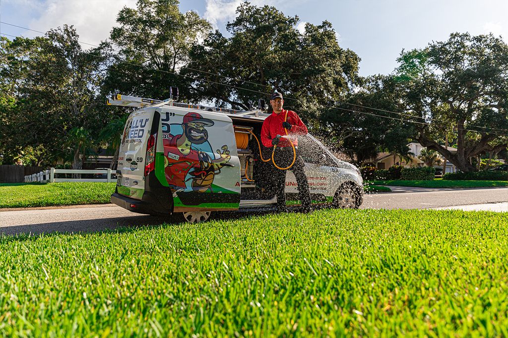 Lawn Treatment
