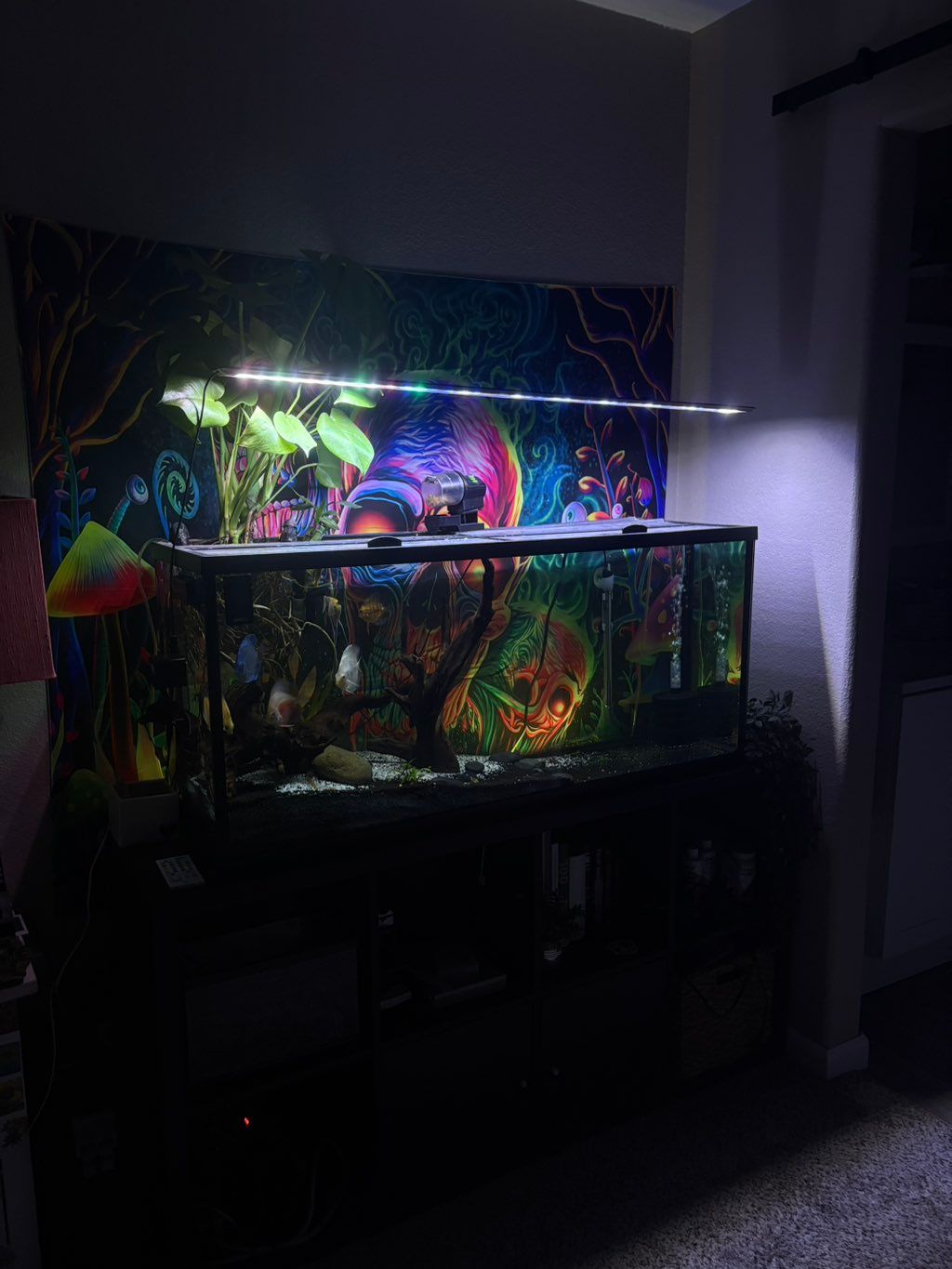 Projects and media
