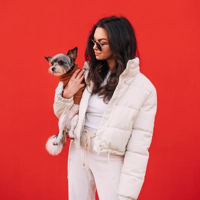 Avatar for The Dog Spot ~ Luxury Pet Care