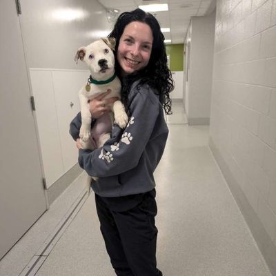 Avatar for Hanah's Pet Sitting & Dog Walking