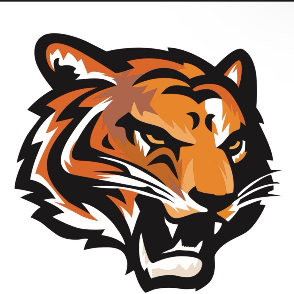 SANTOS TIGGER CONSTRUCTION  IINC