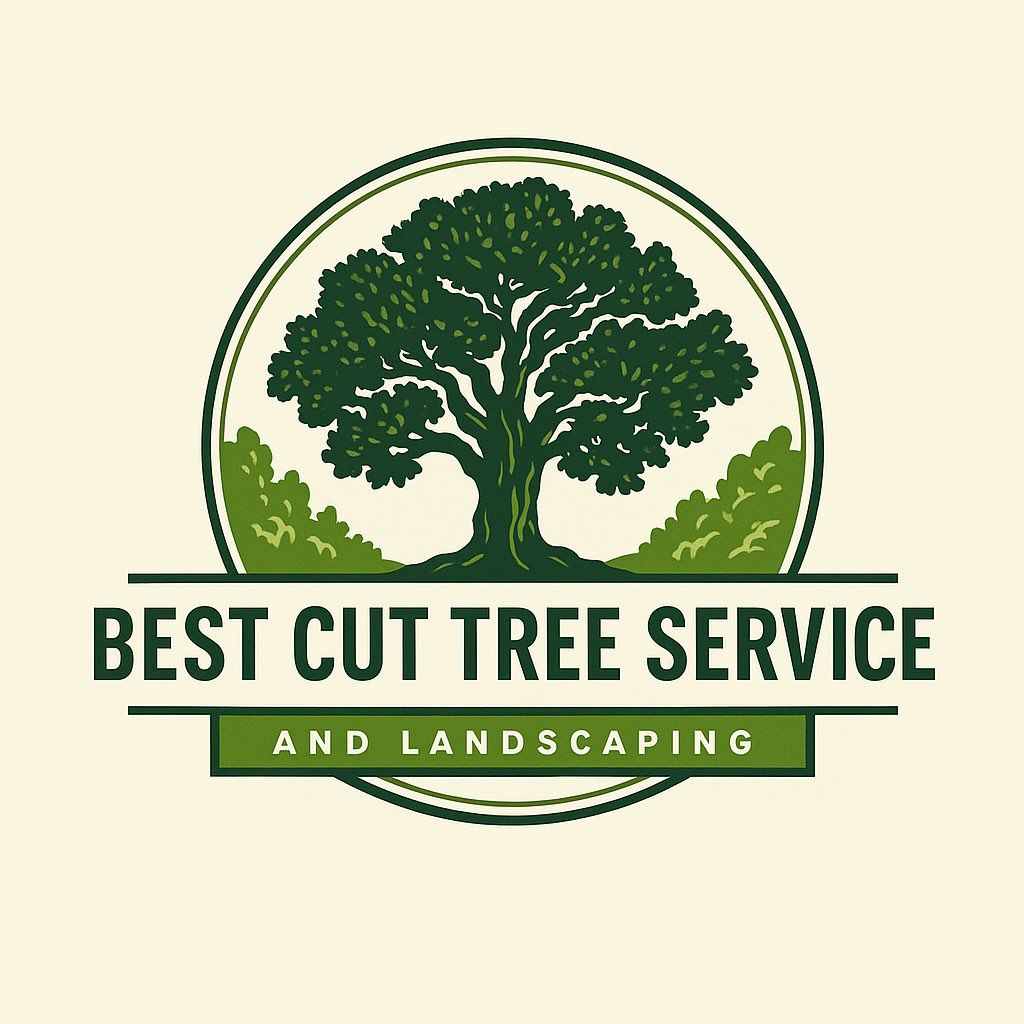 Best Cut Tree Service & Landscaping