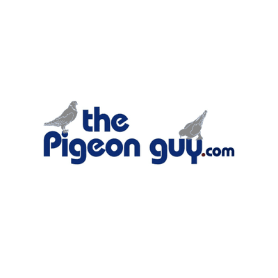 Avatar for The Pigeon Guy