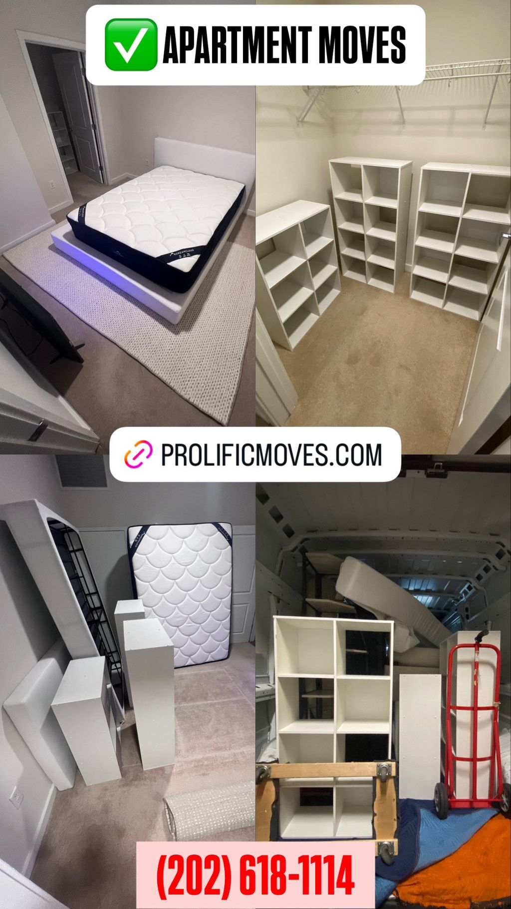 Projects and media