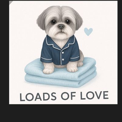 Avatar for Loads of Love laundry service