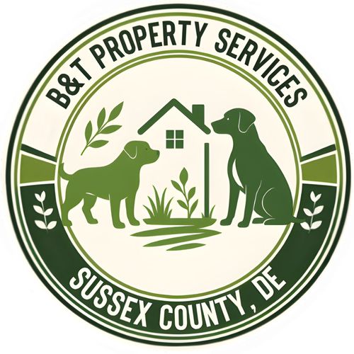 B&T Property Services