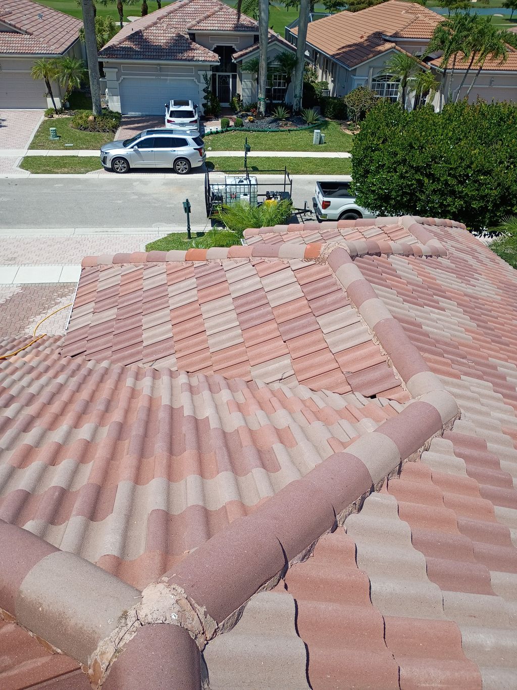 Tile roof professionally cleaned with soft wash—sa