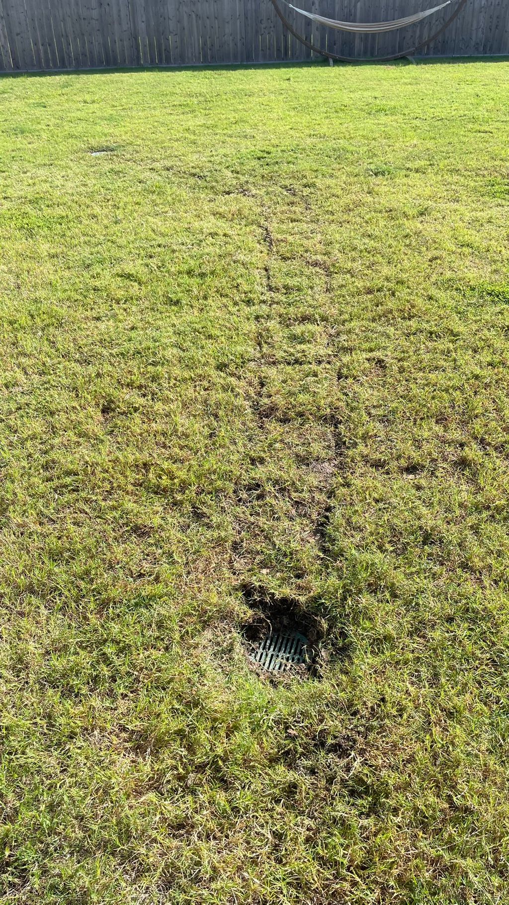 Tamped,raked, and washed. Plus grass is saved.