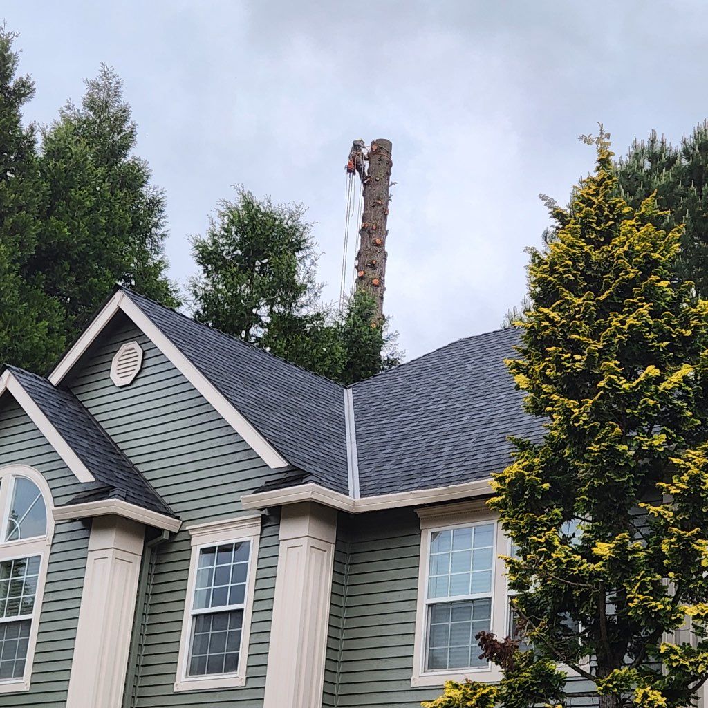 A&J Arbor Care LLC
