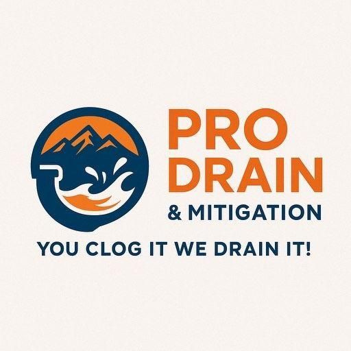 Pro Drain & Mitigation