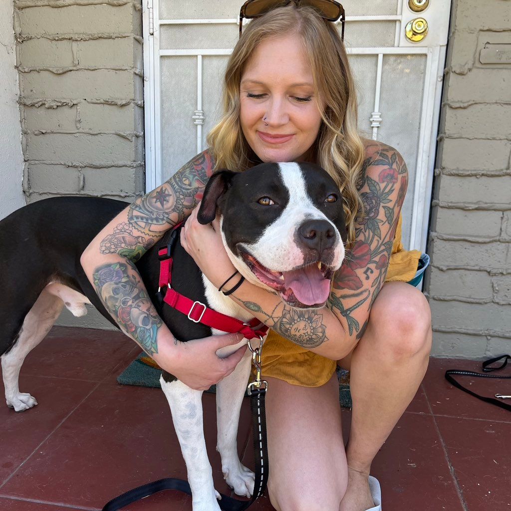 Hilarys Pet Care Plus