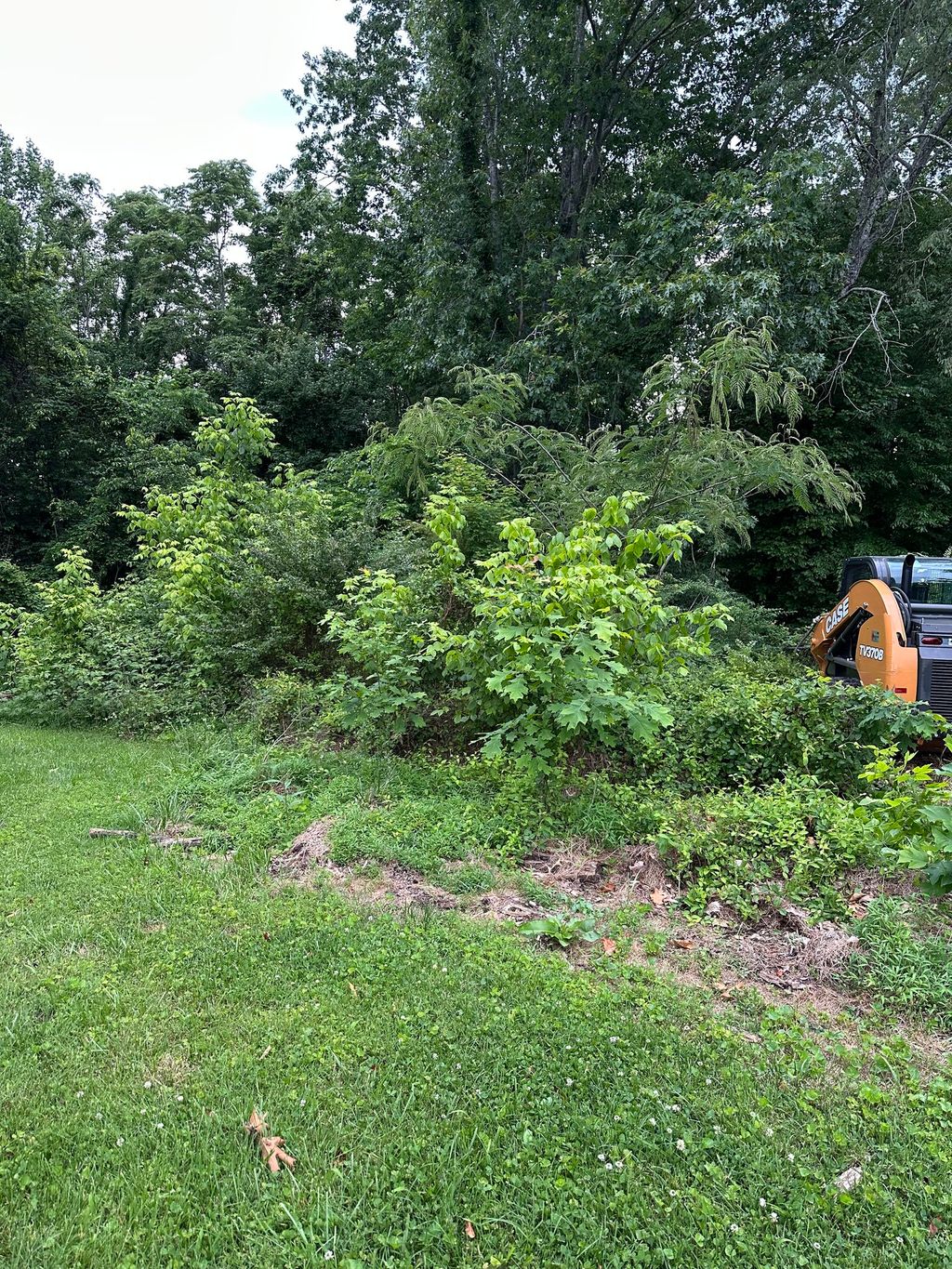 Forestry and vegetation clearing