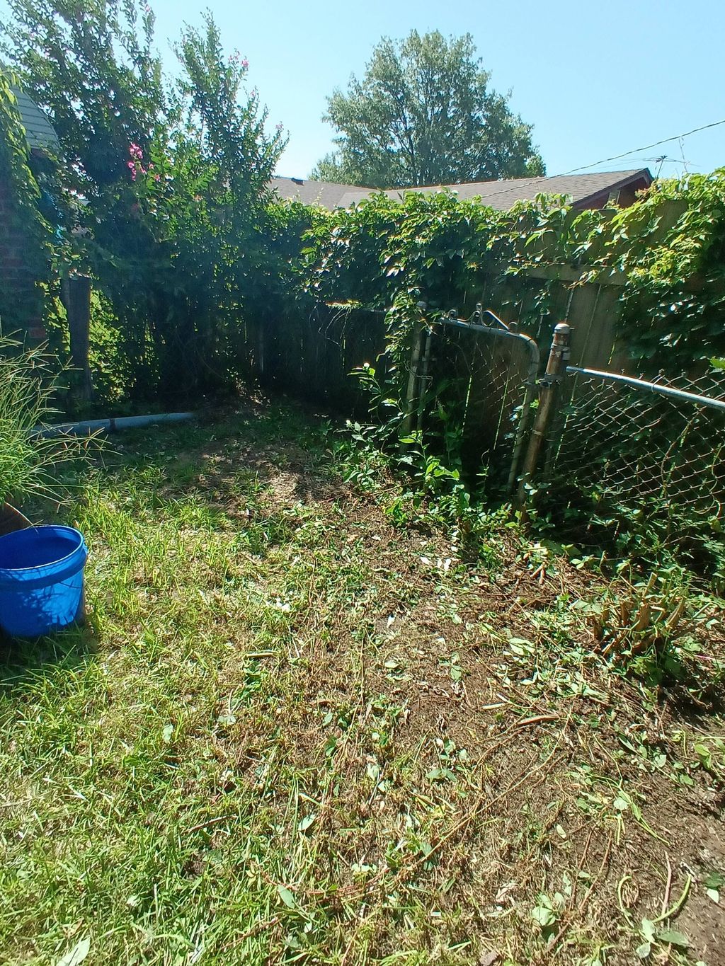 after clearing fence line 