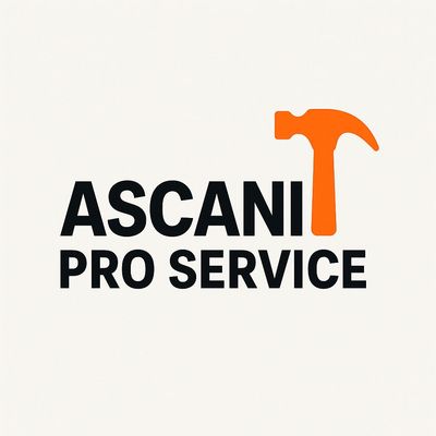 Avatar for ASCANI PRO SERVICES