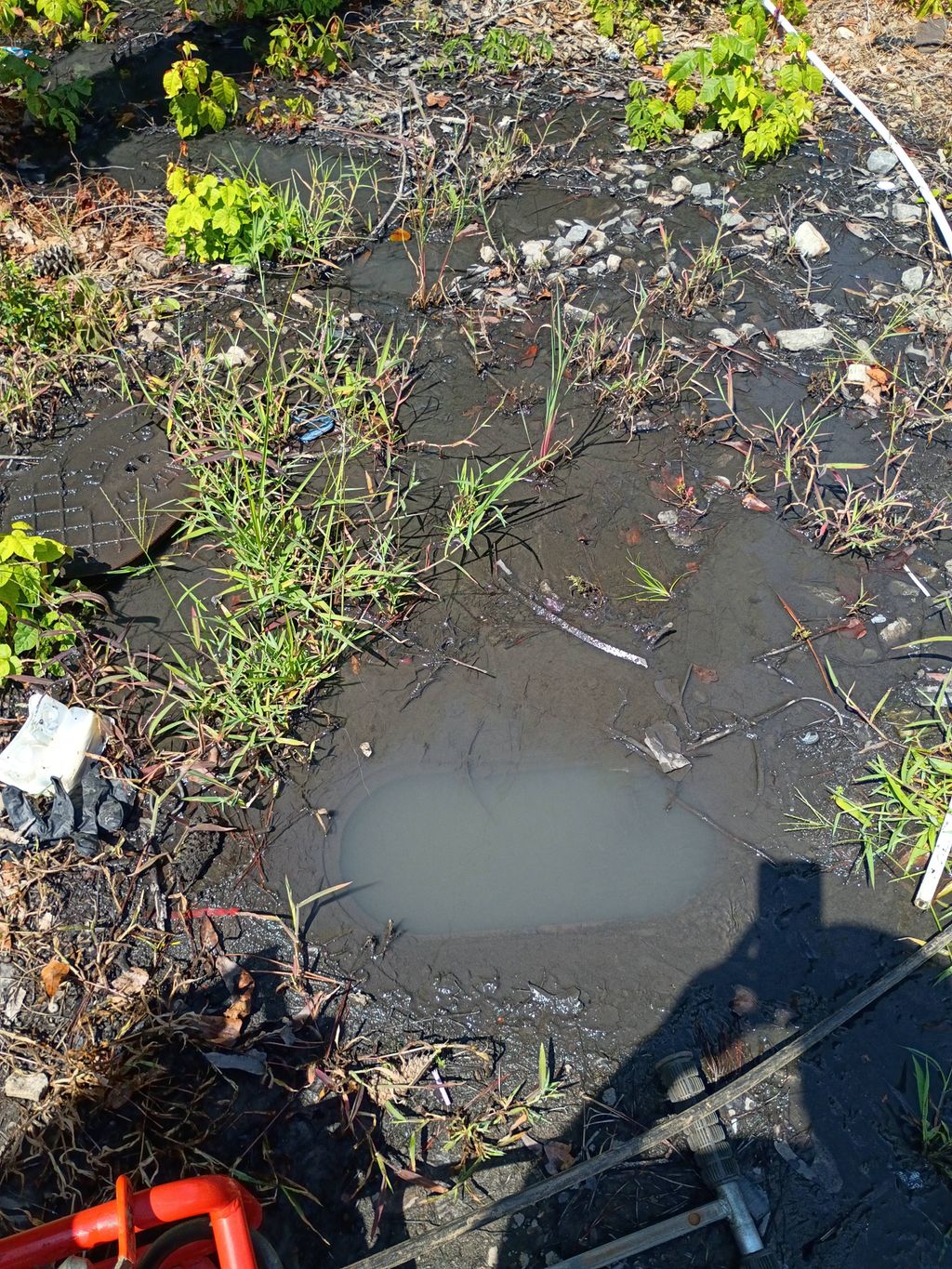clogged grease trap