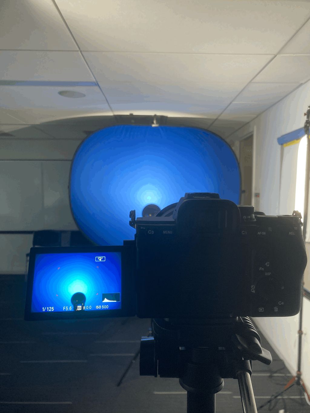 Projects and media