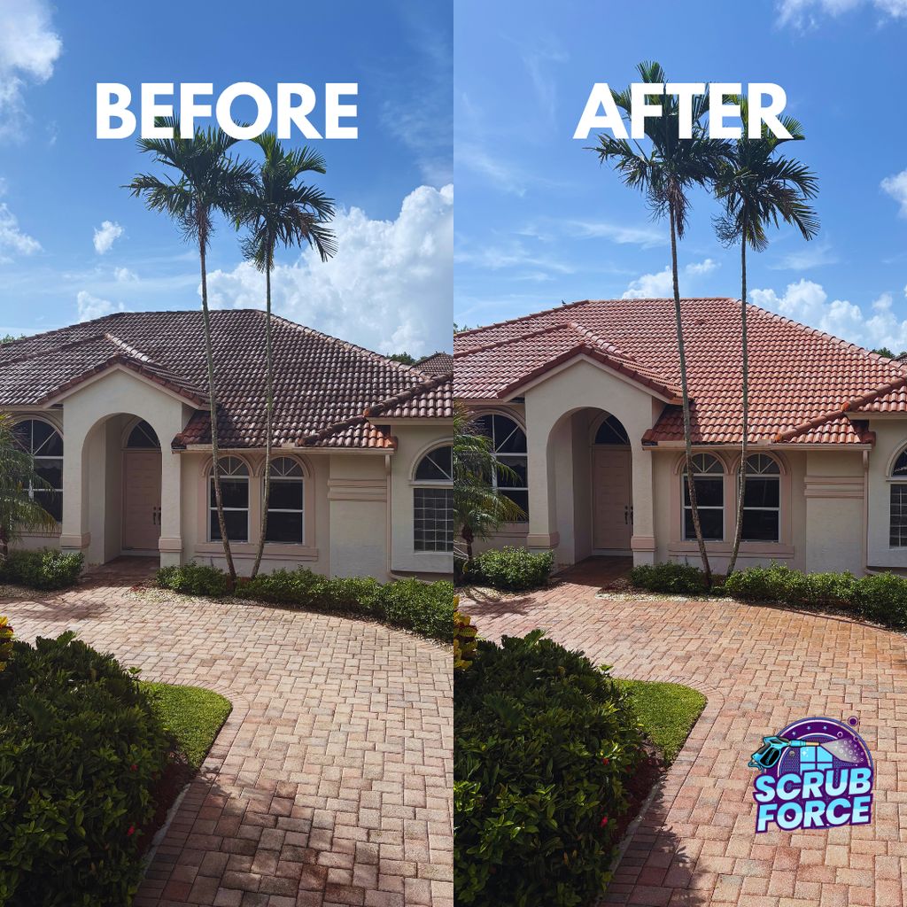 Roof Soft Washing!