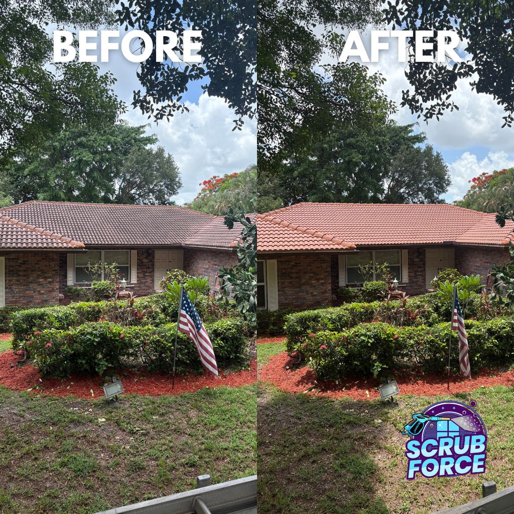 Roof Cleaning