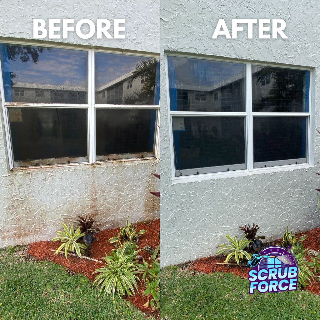 Exterior Cleaning