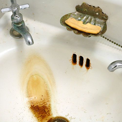 Have iron problems on the Delmarva peninsula? Call
