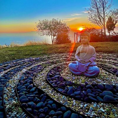 Avatar for Vibe Scapes LLC